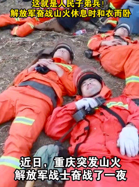 央视主播致敬川渝逆火英雄:川渝人的英雄气是中国人的精气神