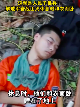 央视主播致敬川渝逆火英雄:川渝人的英雄气是中国人的精气神