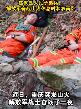 央视主播致敬川渝逆火英雄:川渝人的英雄气是中国人的精气神