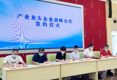 横沥镇工业稳增长政策宣讲暨产业对接会举行