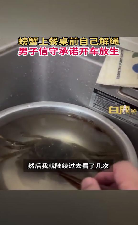 成精了！螃蟹上餐桌前成功解绳自救 已被放生