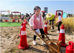 <b>2022广东东莞乡村休闲体验季暨第四届东江印象丰收季启动</b>