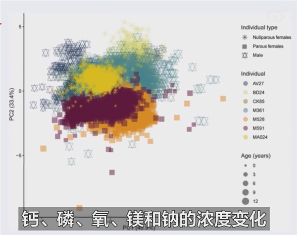 新研究称生育永久改变女性骨骼：前所未有的方式！