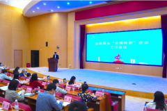 东莞市金融服务“专精特新”企业工作会议召开