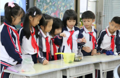 莞城建设小学“美美课程月”项目式学习成果展示活动举行