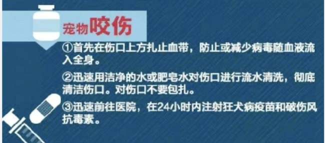 女子50元买仓鼠第1天就被咬花1000