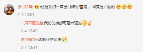 云南小女孩骑鸵鸟上学从容淡定
