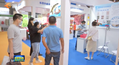 东莞将如何支持企业“走出去”　让外资企业“留下来”？