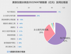 美容仪领跑个护小家