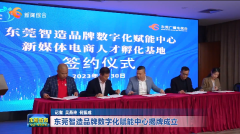 东莞智造品牌数字化