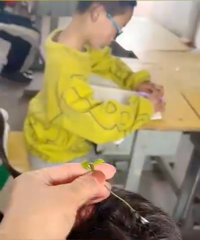 小学生继盘串后又流行起盘头