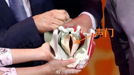 姑娘嗓子疼从就诊到去世仅10分钟，诱发急性会厌炎的4个常见因素