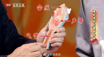 姑娘嗓子疼从就诊到去世仅10分钟，诱发急性会厌炎的4个常见因素