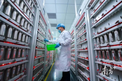 东莞新能源产业将再