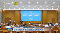 东莞市社科联专家库