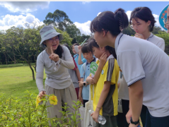 2023年黄江镇中小学生