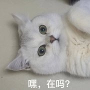 崔永元称羡慕李玟？