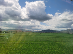 厄尔尼诺现象持续发