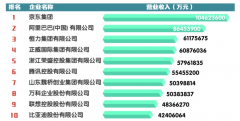 2023中国民营企业500强