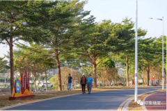凤凰花海水岸公园成为市民休闲打卡好去处