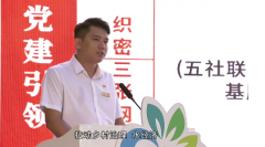 叶华柱：风起江湾 腾跃美好