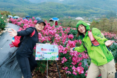 清溪镇举办第十三届“赏花文化节”——“花香古韵”30KM徒步赏花活动举行