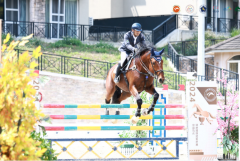 <b>2024年中国马术场地障碍冠军杯赛东莞举行</b>