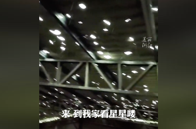 冰雹过后义乌人蔬菜大棚爆改星空顶
