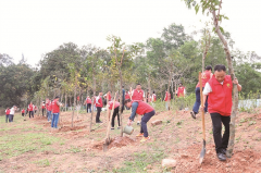 2024年徐福记可持续发展林种植活动举行