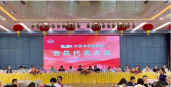 东莞市质量协会2024年