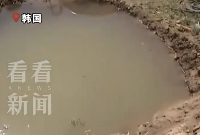 辗转多家医院！韩国溺水幼童遭11家医院拒收后死亡