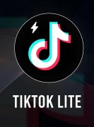 TikTok宣布自愿暂停T