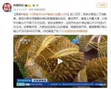 云南昆明榴莲一斤跌破10元 榴莲自由来了？