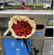 520垃圾桶变花桶 网友：世上本没有520，250多了就出现520了 