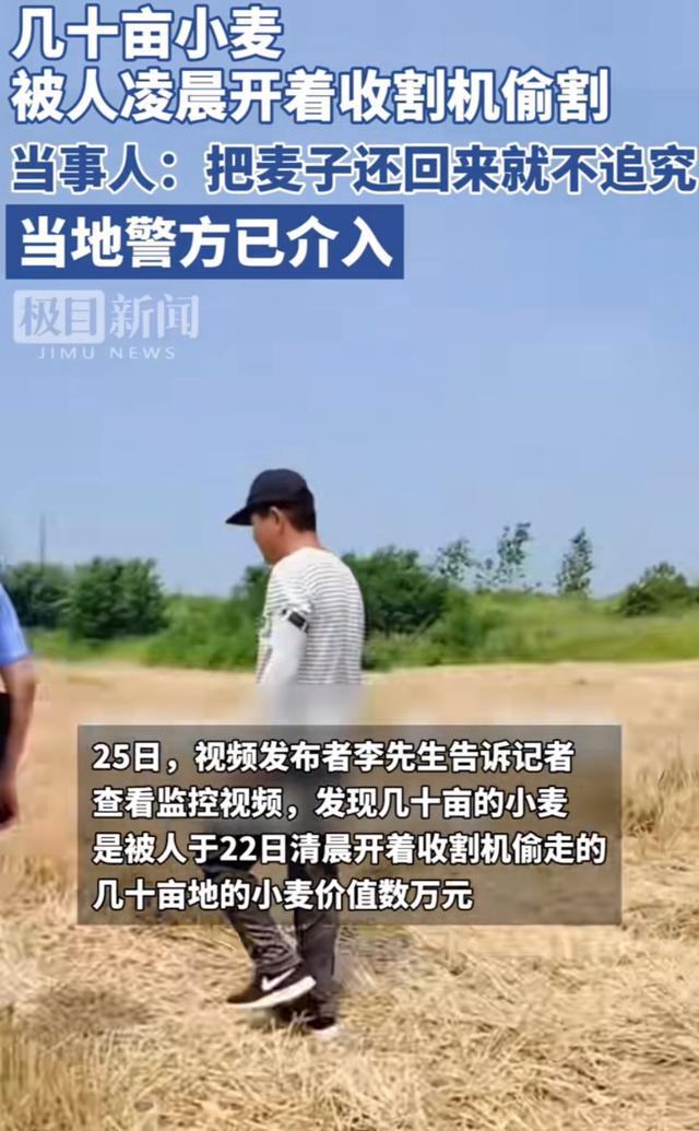几十亩小麦被人凌晨开着收割机偷割