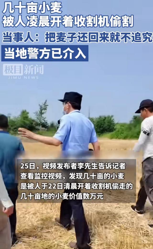 几十亩小麦被人凌晨开着收割机偷割 监控模糊寻贼影