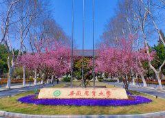 大学夜间12点断网真的是为学生好吗？