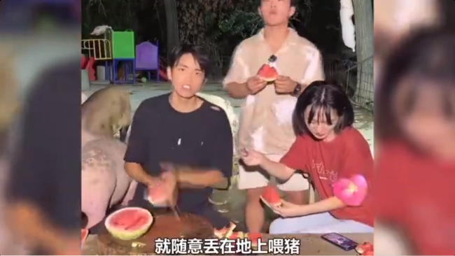 韩国小哥不信中国拿西瓜喂猪 怎料一到农村养猪场当场绷不住了
