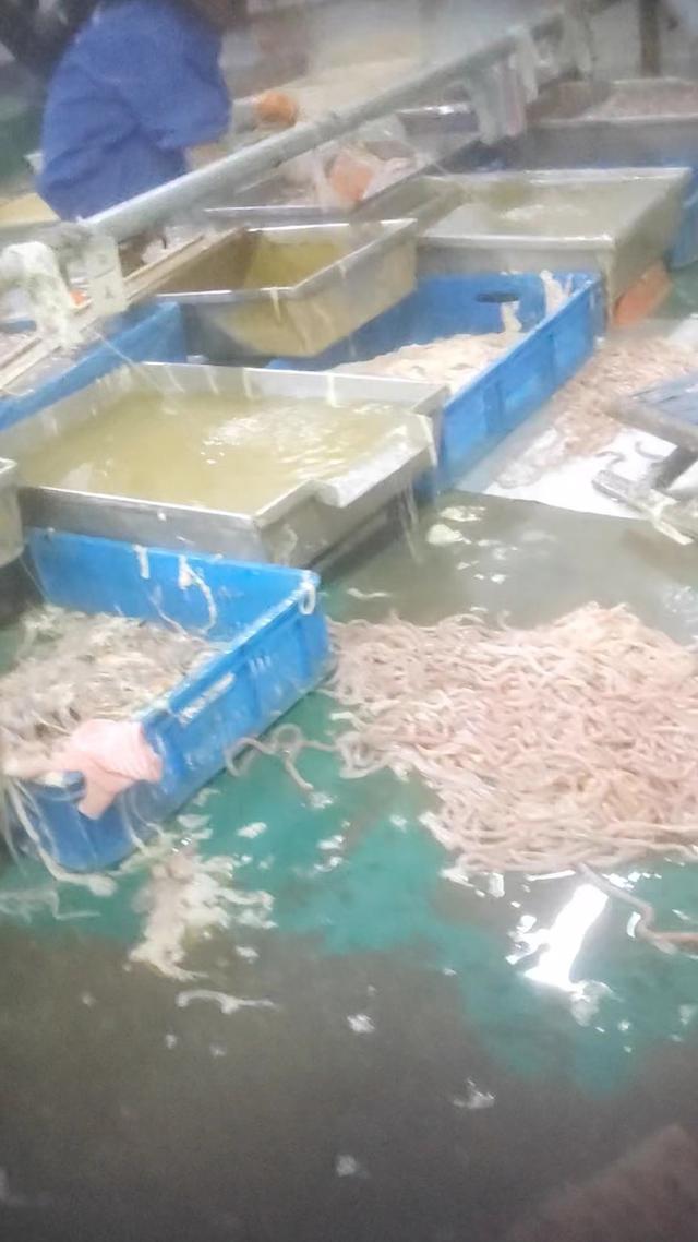 鸭肠、鹅肠工厂被曝光！卧底记者电话疑被泄露：李主任给的！