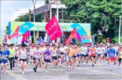 广东观音山国家森林公园毁林种果为何屡禁不止？