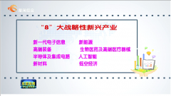 东莞加快构建“8+4”