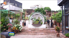 东莞市寮步镇妇联以“美丽庭院”建设助力“百千万工程”