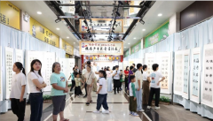 东莞市横沥镇举办第