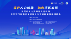 东莞市粤港澳大湾区