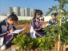 莞城和阳小学创新开