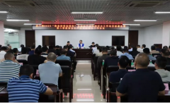 虎门镇雷霆出击：隐