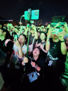 东莞草莓音乐节八万