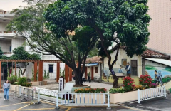 东莞东坑闲置地变身