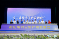 智能科技赋能安全生产！松山湖成立政企学协同安全联盟
