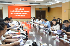 东莞深圳协同立法迈